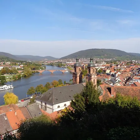 Erfblick-apartments Eichenbuhl (Miltenberg)